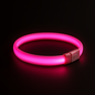 GlowSafe LED Dog Coll