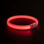 GlowSafe LED Dog Coll