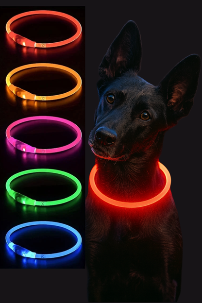 GlowSafe LED Dog Coll