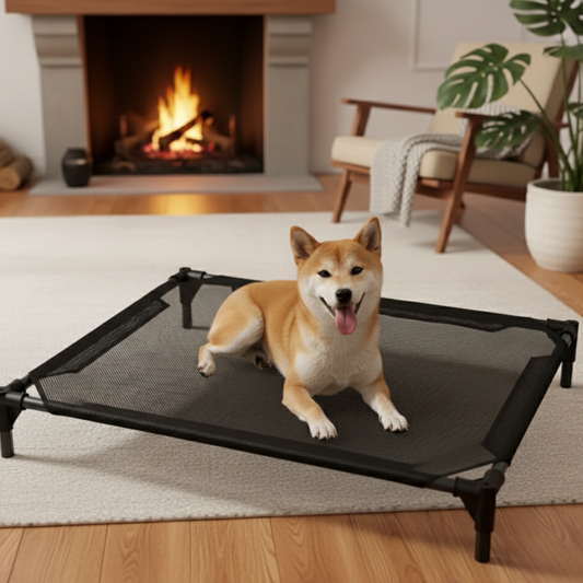 BreezeLift Cooling Elevated Pet Bed