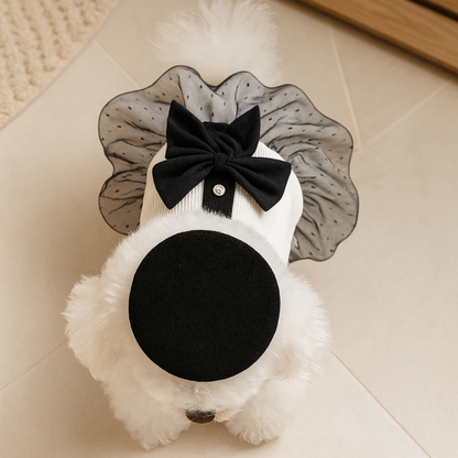 Elegance Bow Lace Dog Dress