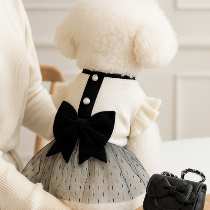 Elegance Bow Lace Dog Dress