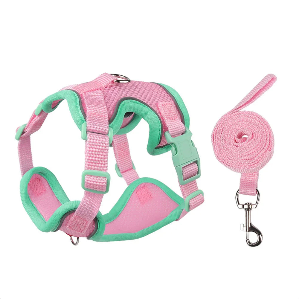 SafetyFit Pet Harness