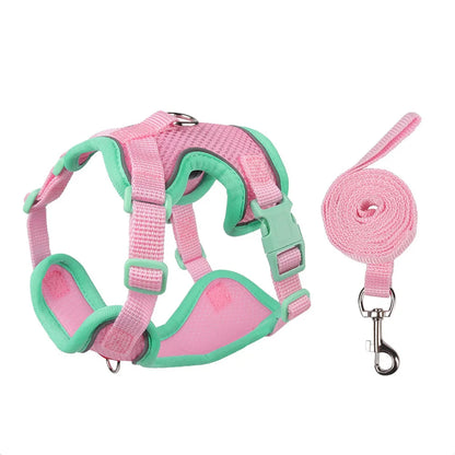 SafetyFit Pet Harness