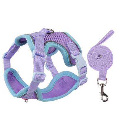 SafetyFit Pet Harness