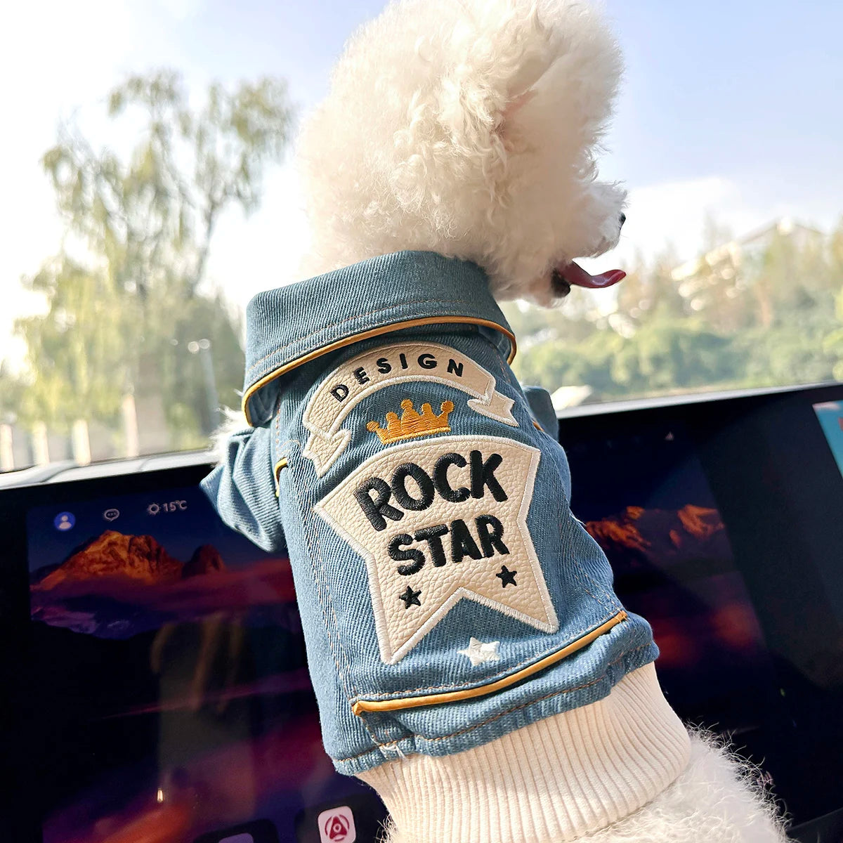 RockStar Denim Pet Jacket