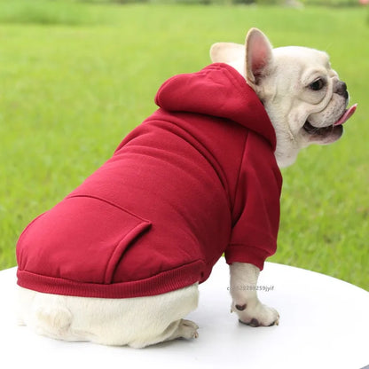 CozyPup Winter Hoodie