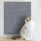 Premium Self-Adhesive Cat Scratch Guard