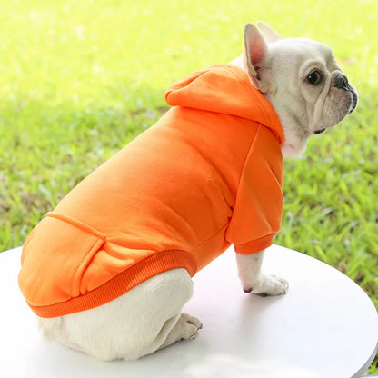 CozyPup Winter Hoodie
