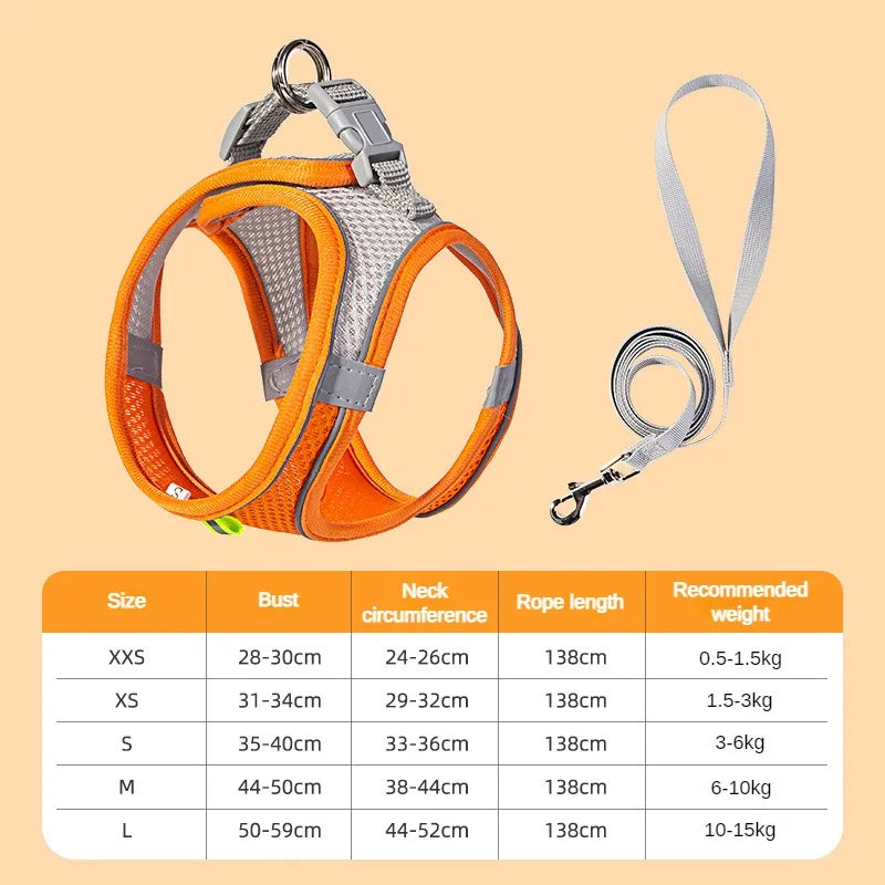 SoftGuard No-Pull Comfort Harness, Leash Set