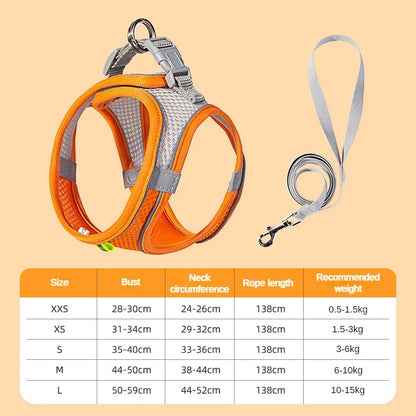 SoftGuard No-Pull Comfort Harness, Leash Set