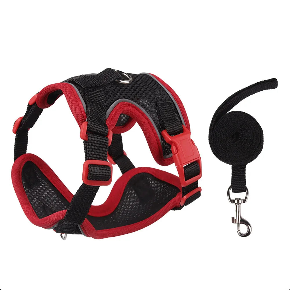 SafetyFit Pet Harness