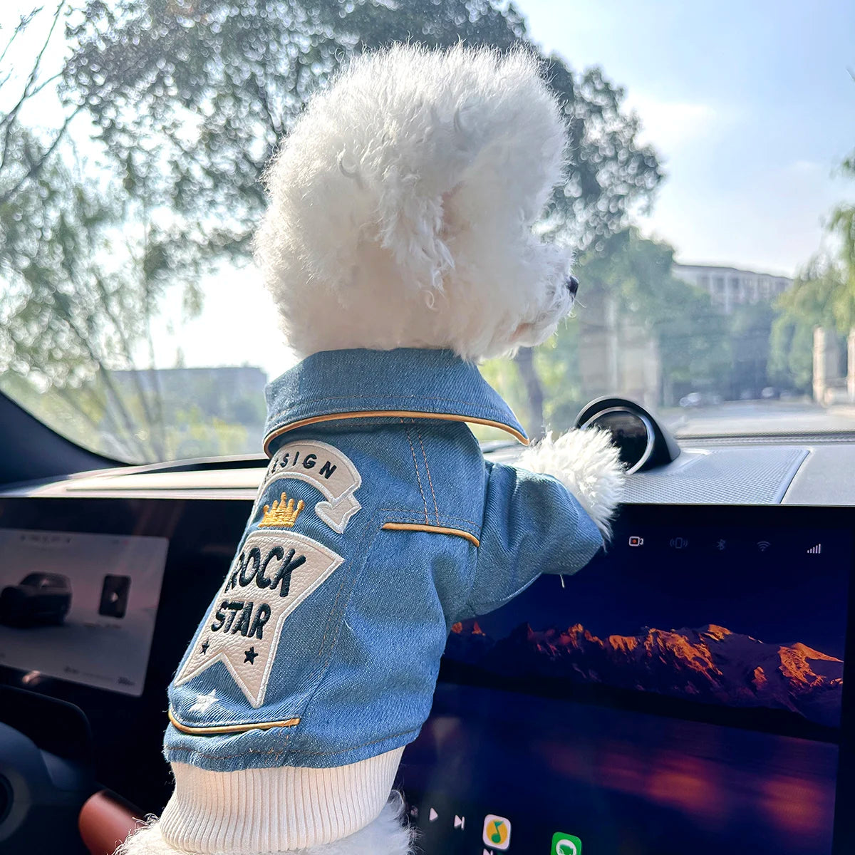 RockStar Denim Pet Jacket