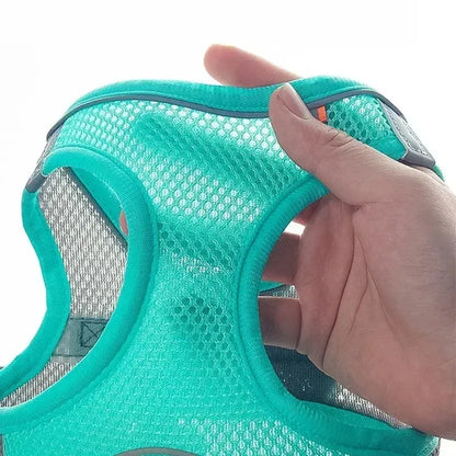 SoftGuard No-Pull Comfort Harness, Leash Set