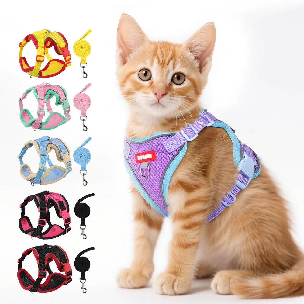 SafetyFit Pet Harness