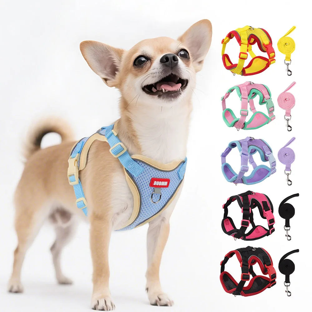 SafetyFit Pet Harness