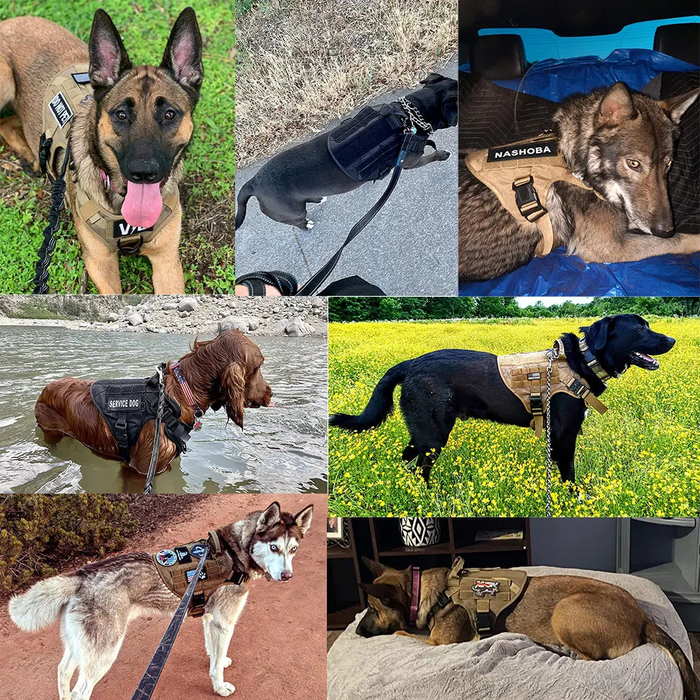 Elite Tactical Dog Harness Set – Built for Power, Comfort & Control