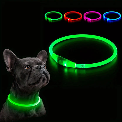 GlowSafe LED Dog Coll